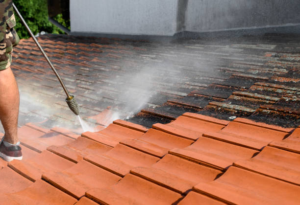 Best Deck Pressure Washing  in Black River, NY