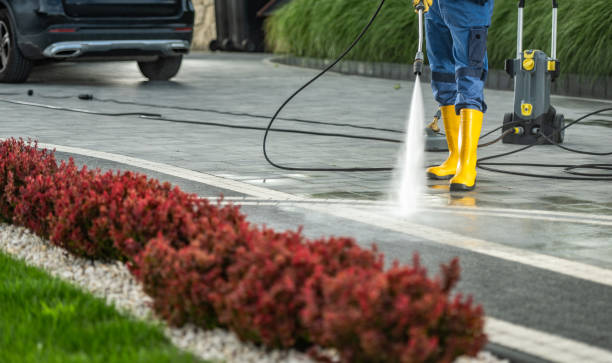 Best Roof Power Washing Services  in Black River, NY