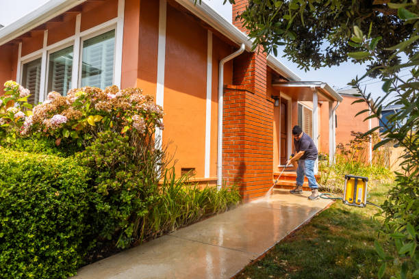 Best Pressure Washing Near Me  in Black River, NY