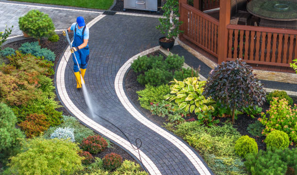 Best Residential Pressure Washing Services  in Black River, NY